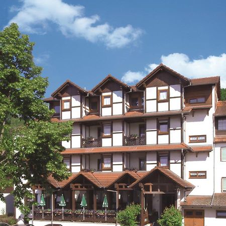 Hotel Blick Zum Maimont Ludwigswinkel Zewnętrze zdjęcie