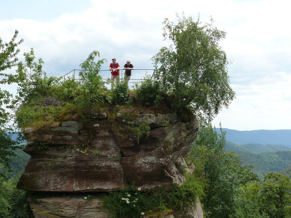 Hotel Blick Zum Maimont Ludwigswinkel Zewnętrze zdjęcie
