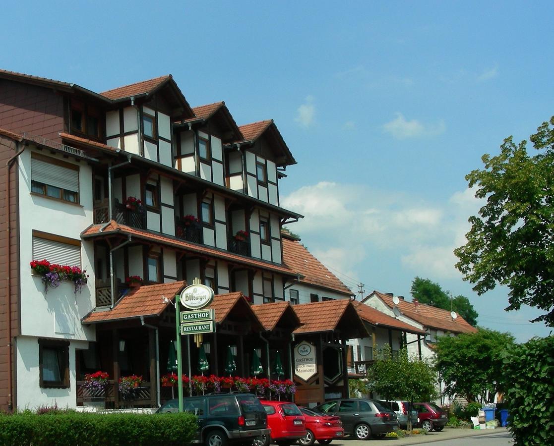 Hotel Blick Zum Maimont Ludwigswinkel Zewnętrze zdjęcie