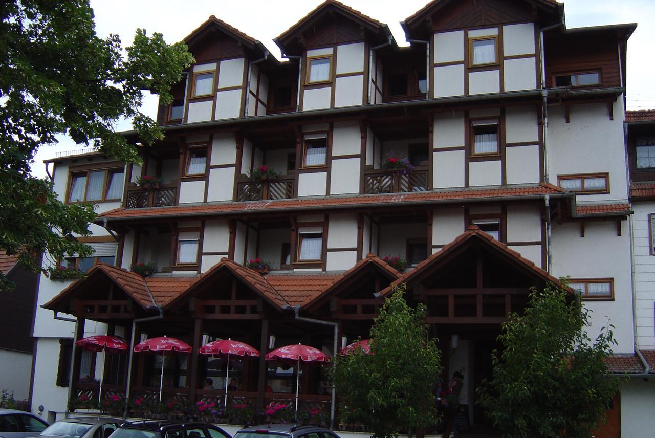 Hotel Blick Zum Maimont Ludwigswinkel Zewnętrze zdjęcie