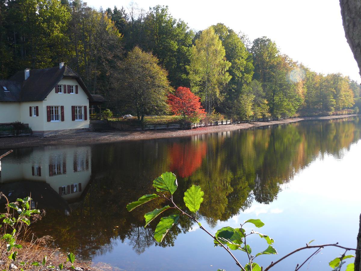 Hotel Blick Zum Maimont Ludwigswinkel Zewnętrze zdjęcie