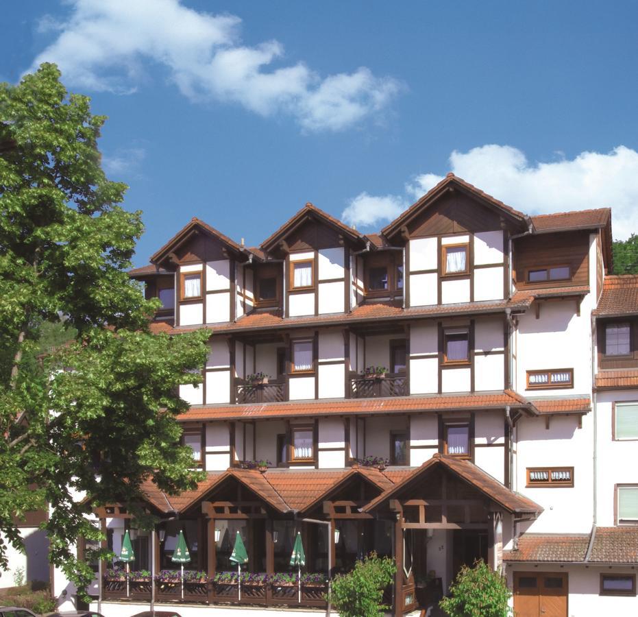 Hotel Blick Zum Maimont Ludwigswinkel Zewnętrze zdjęcie