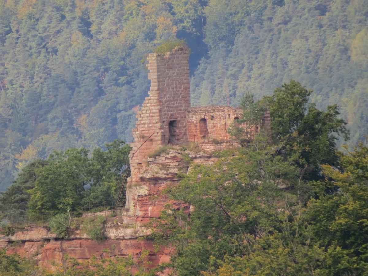 Hotel Blick Zum Maimont Ludwigswinkel Zewnętrze zdjęcie
